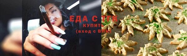 СК Волоколамск