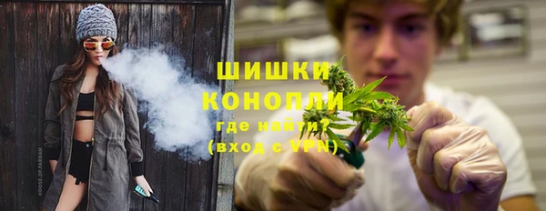молекула духа Вязьма