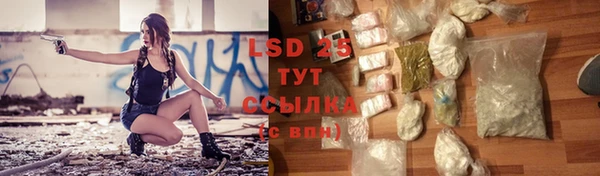 прущая мука Вяземский
