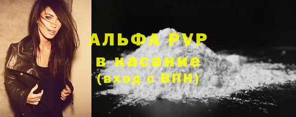 молекула духа Вязьма