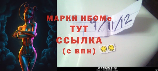 стаф Болхов