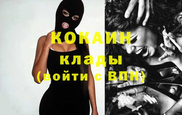 стаф Болхов