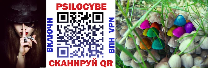 hydra вход  Козловка  Псилоцибиновые грибы MAGIC MUSHROOMS  купить  цена 
